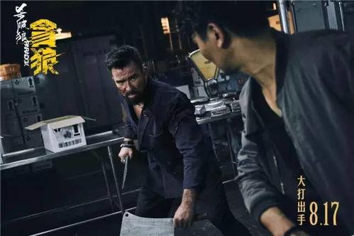 娱乐吃瓜君杀破狼